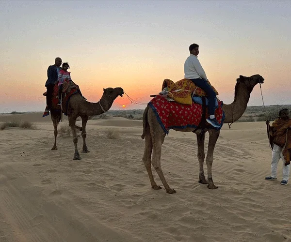 Camel Safari at sunset through Sam Sand Dunes
