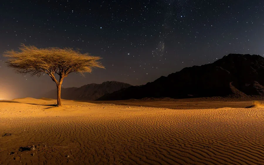 Private Desert Escape