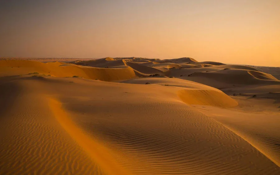 Royal Camel Safari